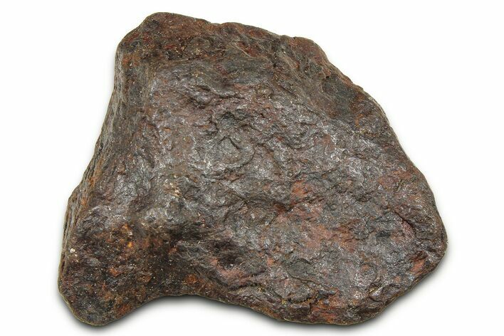 Canyon Diablo Iron Meteorite ( g) - Arizona #382001